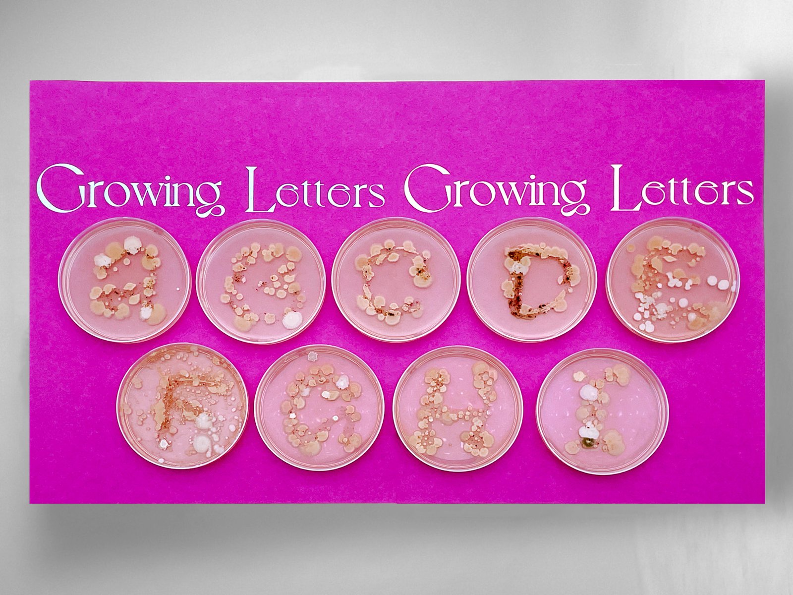 Growing Letter