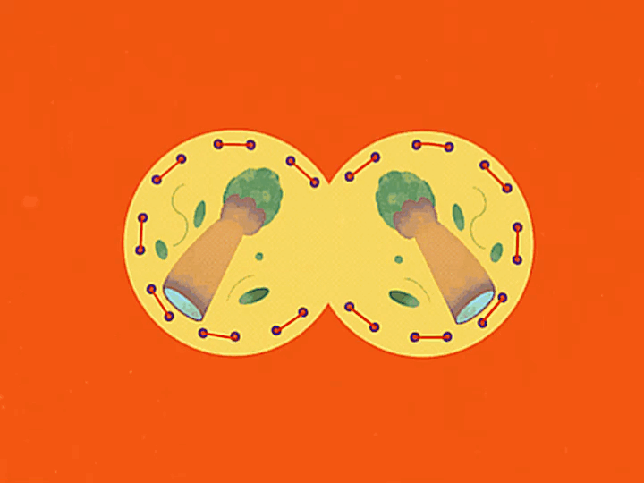 A New Year Motion Graphics